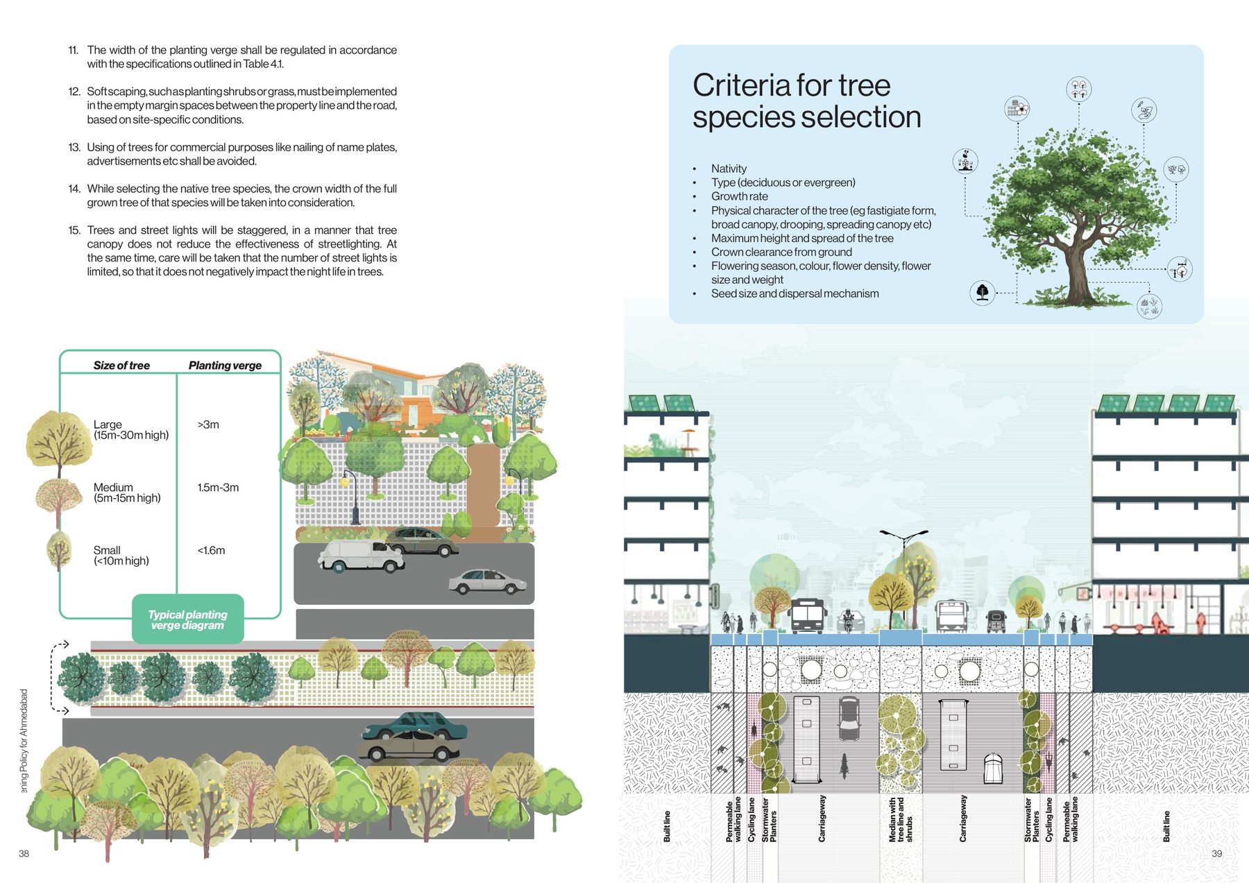 Urban greens at avenues, medians and junctions. The rules, and the size of tree to the width of verge.