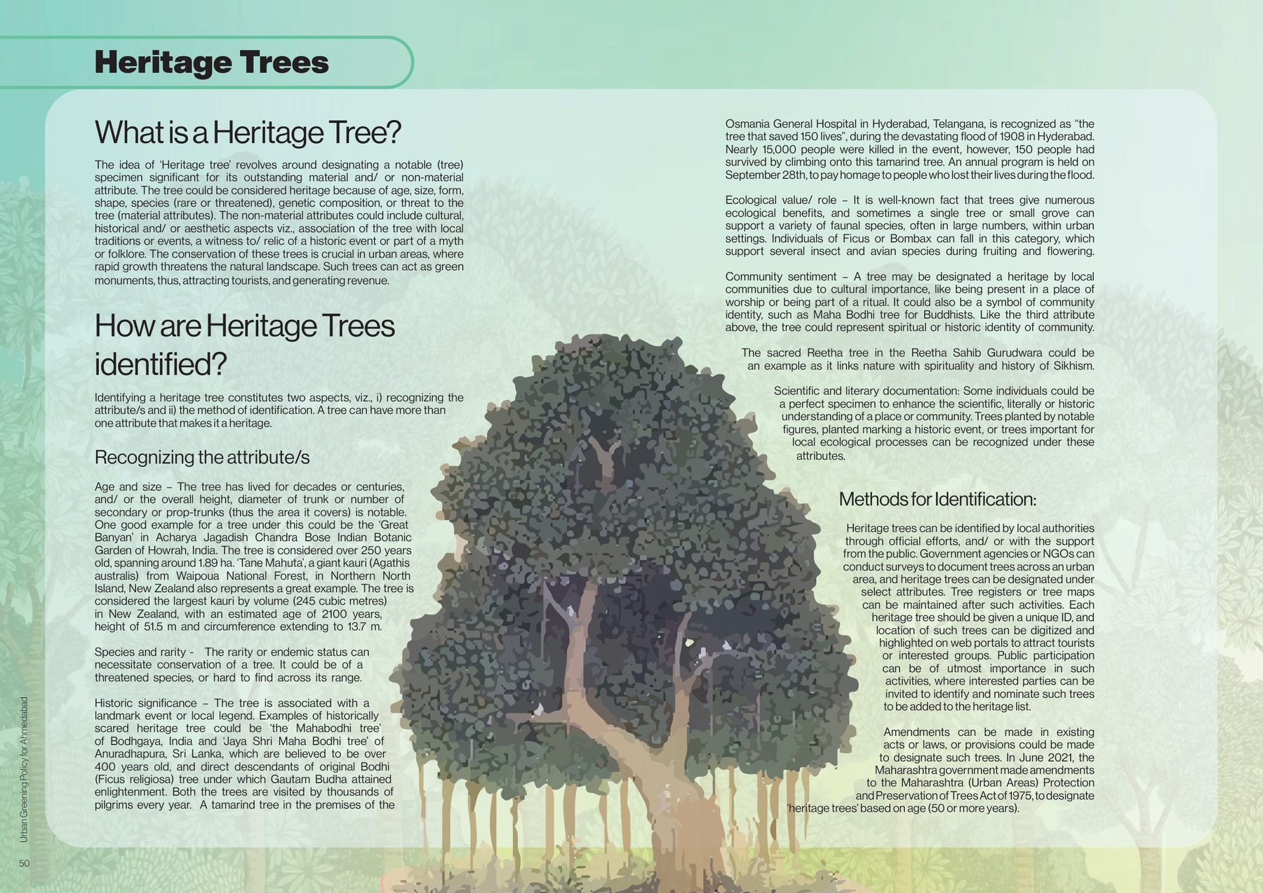 Heritage trees. What makes a tree heritage (age, size, form, species, story), how one is identified, and the banyan drawn to carry the chapter.
